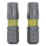 Bits TORX 40 2kom COXT973074