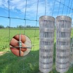 Farmersko pletivo 1m, 1,2m i 1,5m pocinčana žica 50 i 100 metara