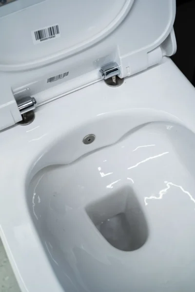 WC šolja viseća Hill Rim Out (sa slavinom topla/hladna voda i daskom soft close) rimless - Image 5